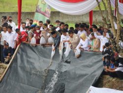 Arinal Tebar 300 Ribu Benih Ikan Baung di Sungai Bulok