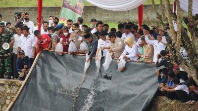 Arinal Tebar 300 Ribu Benih Ikan Baung di Sungai Bulok