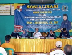 Mardiana Gelar Sosperda Tentang Perlindungan dan Pemberdayaan UMKM