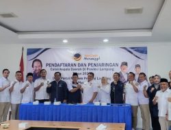 Soal Pilkada, Ini Kata Mirza